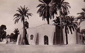 EL GOLEA